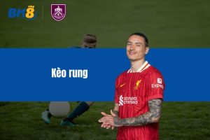 Kèo rung có dễ ăn không? Hướng dẫn soi cược chuẩn xác