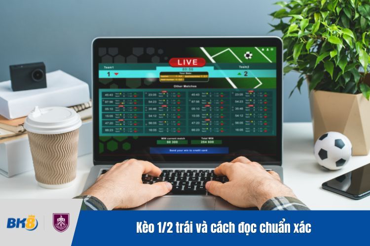 Kèo 1/2 trái và cách đọc chuẩn xác